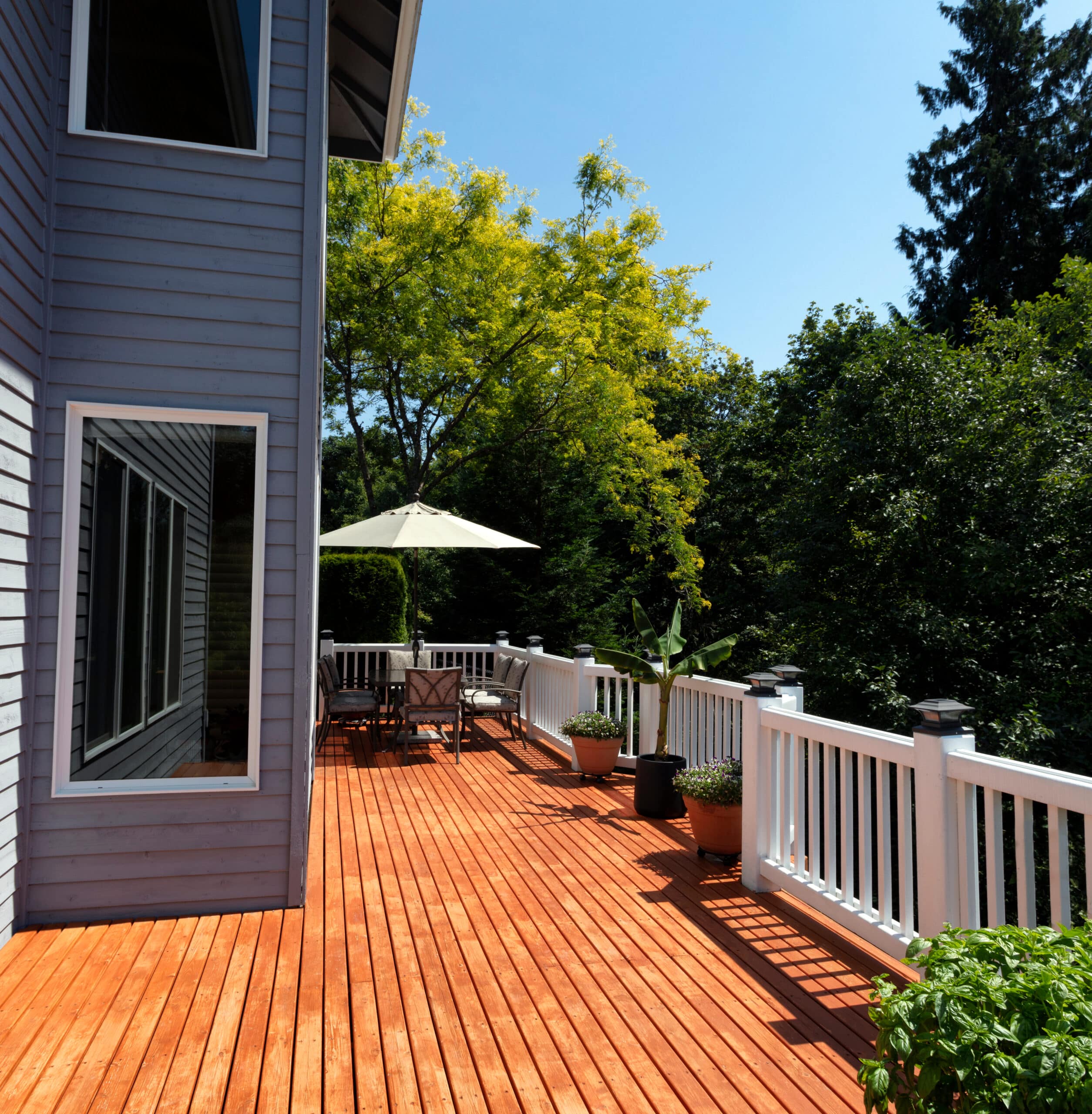 Deck Staining Services