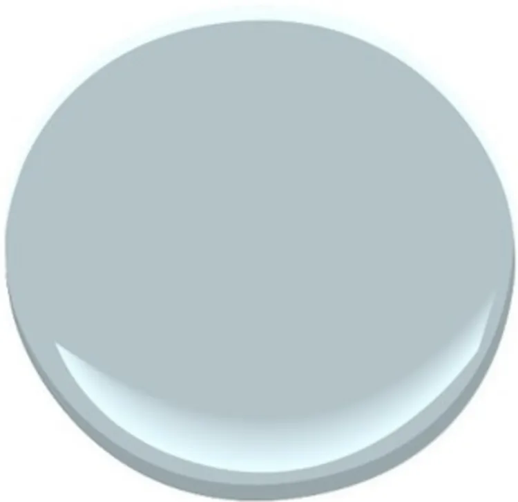 chinchilla-paint-2562a8865e6f45e0894b2ef9bba8ebc5