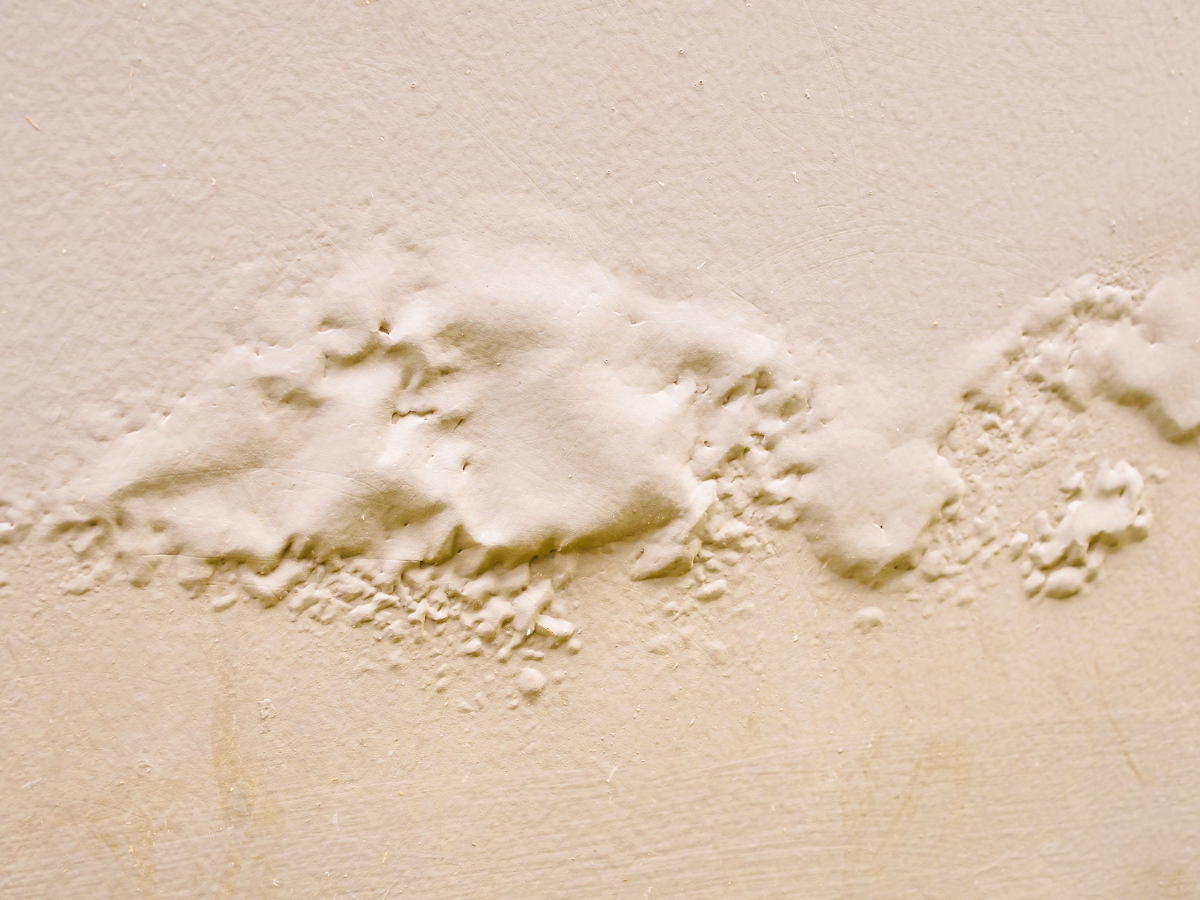 Post-spring Wall Damage